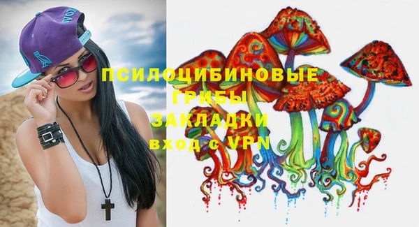 mdpv Краснослободск