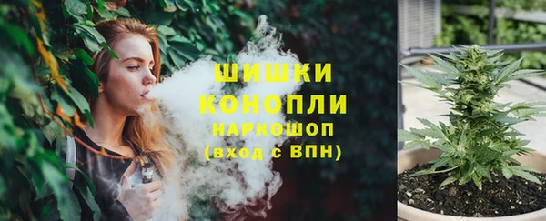 mdpv Краснослободск