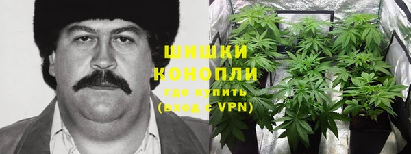 mdpv Краснослободск